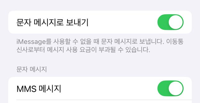 아이폰 메시지 뭘 활성화 해놔야하죠.?의 0번 째 이미지