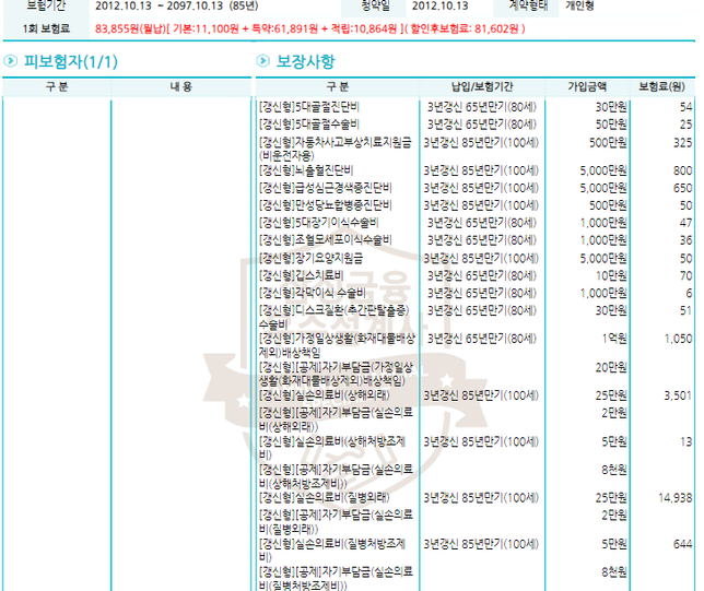 갱신형보험 유지 + 유병자보험 가입 관련해서 한 번만 봐주세요.의 1번 째 이미지