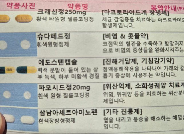 이 중에 소염, 진통 작용을 하는 약이 어떤 걸까요?의 0번 째 이미지