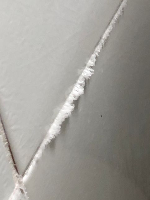 화장실 줄눈 부분에 하얀색 털이 자라요의 0번 째 이미지