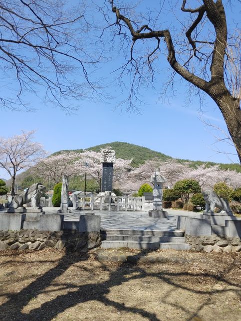 종교 시설들이 문을 닫아도 종교 지도자들은 왜 헌금이나 시주를 포함한 돈을 챙긴 뒤 책임을 지지 않아요?의 1번 째 이미지