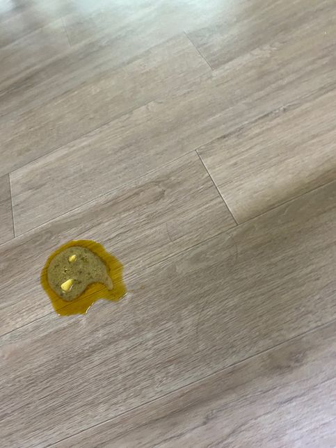 강아지가 토를 했는데요.ㅜㅜ 봐주세요의 0번 째 이미지