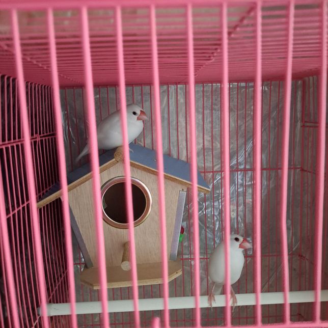 새키우기 질문 올립니다~~~~~~의 0번 째 이미지