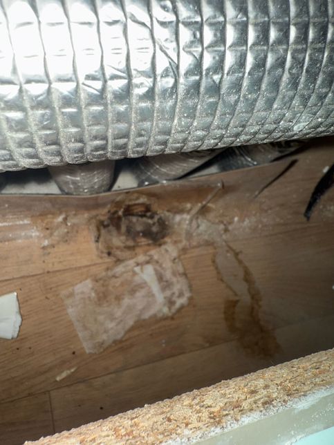 이거곰팡이인가요? 이사를왔는데 싱크대밑 하부장 안쪽을 볼일이없었는데의 0번 째 이미지