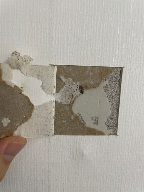 벽지 도배후에 냄새 및 얼룩이 생겼습니다의 0번 째 이미지