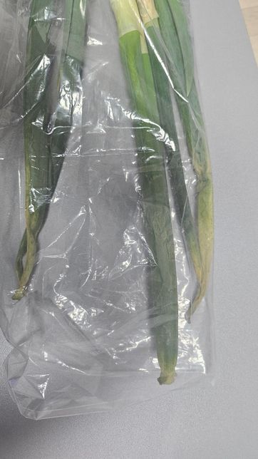 부분적으로 노랗게 변한 대파 먹어도 되나요?의 0번 째 이미지