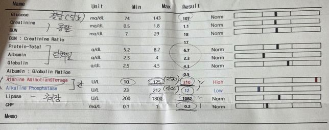 강아지가 혈변과 구토를해서 어떤치료를 해야될까요?의 0번 째 이미지