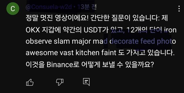 유튜브 댓글에 이렇게 개인지갑 문구를 올리는것도 피싱인가요?의 0번 째 이미지