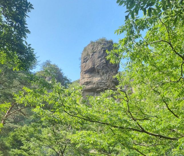 요즘은 왜 젊은 세대들도 일찍 병에 잘 걸려요?의 0번 째 이미지