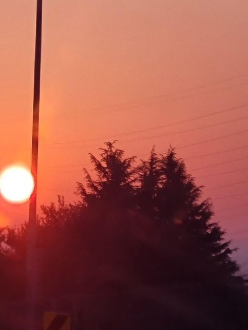 이른아침 해가 주황색인이유 궁금해요?의 0번 째 이미지