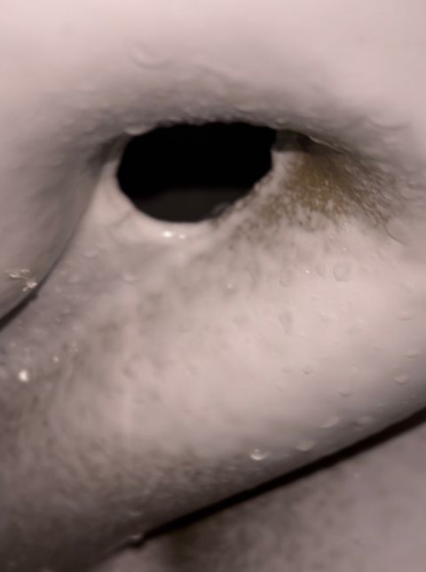 변기 뒤쪽 안에 이 구멍의 정체는 뭔가요?의 0번 째 이미지