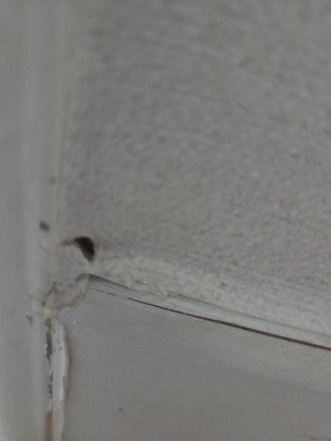 거실벽 시멘트가 조금 일부분 파손 되었는되요 보수 해야될까요의 0번 째 이미지