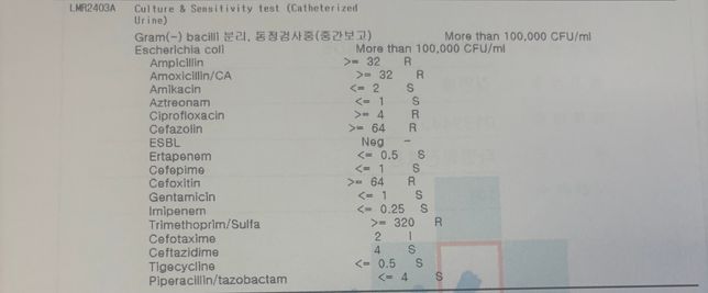 잦은 방광염으로항생제내성이심한데의 0번 째 이미지