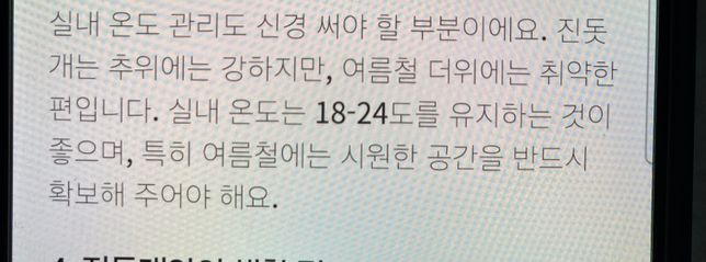 진돗개 겨울철 실내온도 알고 싶어요 원룸입니다의 0번 째 이미지