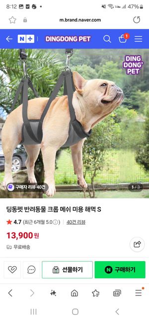 어깨관절아탈구 강아지 미용해먹 사용문의의 0번 째 이미지