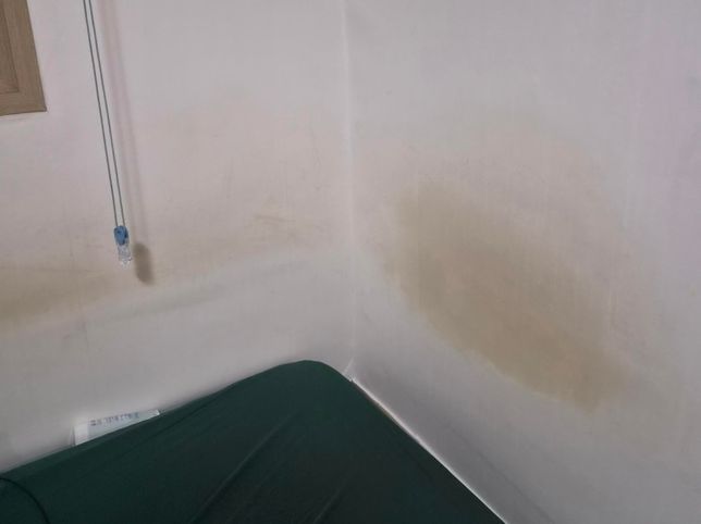 전세 이사 시 도배비용 줘야하나요 알려주세요.의 0번 째 이미지