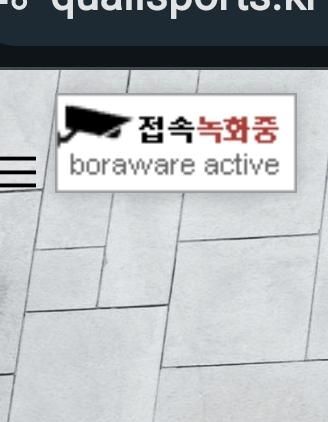 웹사이트 들어갔을때 뜨는 접속녹화중표시는 무엇인가요?의 0번 째 이미지