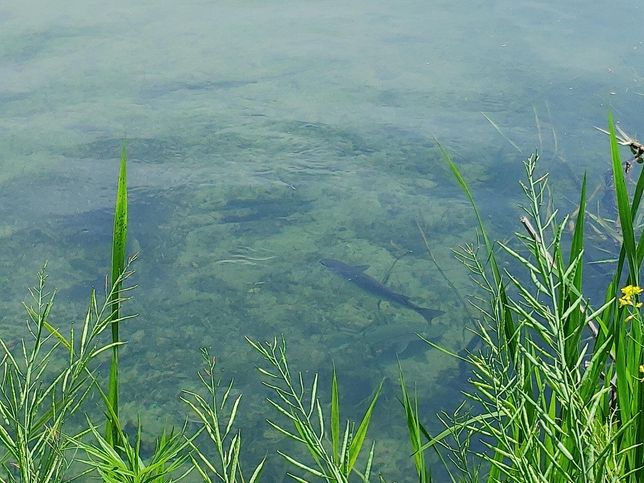 2020년 이후로 왜 우리나라에 점점 비가 많이 오게 되었나요?의 3번 째 이미지