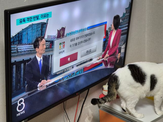 티비에서 새로운 외부기기가 입력 되있다고 떠요의 0번 째 이미지