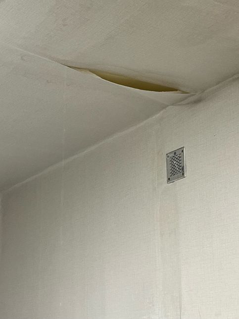 집 천장에 누수가 생겼어요 ㅠㅠㅠㅠㅠㅠ의 0번 째 이미지