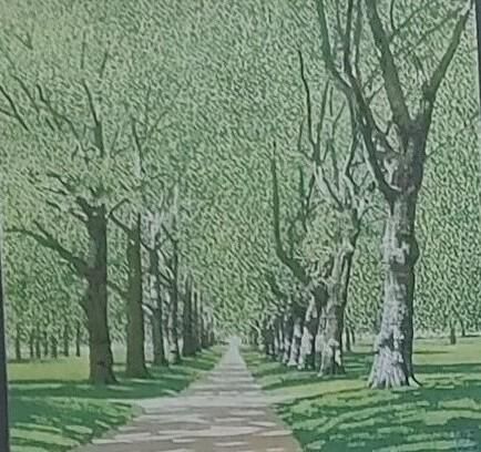 어디 지점의 나무를 원근감 있고 나이테가 선명하게 찰해야 되나요?의 2번 째 이미지