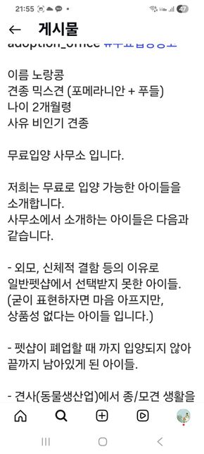 펫샵이 아니고 구조된애 입양하라고 인스타에 올라온글인데의 2번 째 이미지