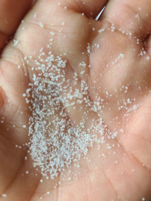 이게 뭘까요? 물에 닿으면 이렇게 변해요의 0번 째 이미지