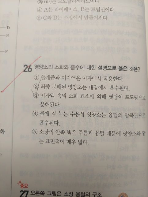 생명관련 질문입니다. 소화작용에 관한의 0번 째 이미지