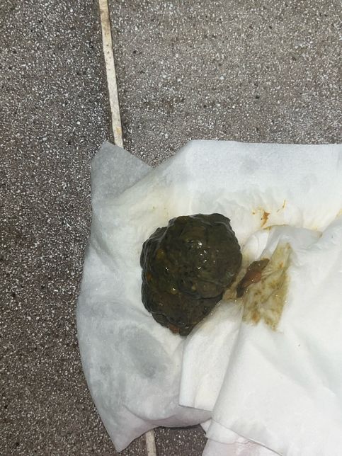 변 초록색같은.?이런건 뭔가요.?의 0번 째 이미지