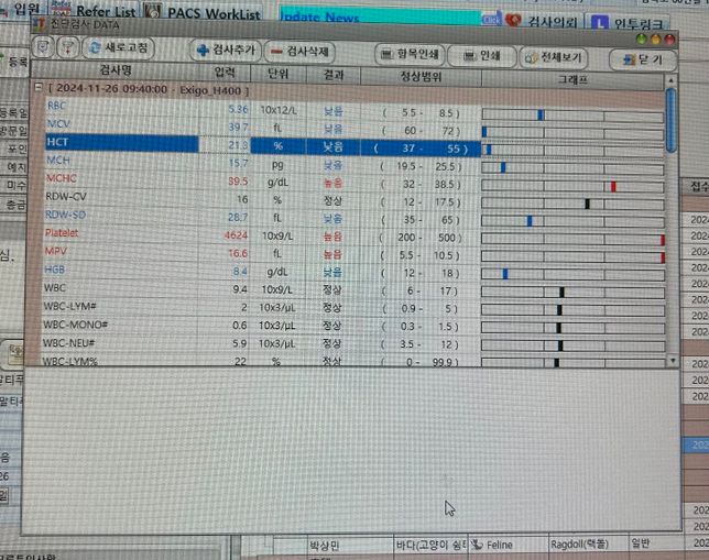 빈혈 원인 찾기 위한 검사는 어떤걸 해야?의 0번 째 이미지