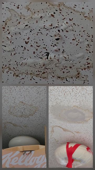 누수로 공사까지 완료했는데 결로라고 하는데 결로인가요??의 1번 째 이미지