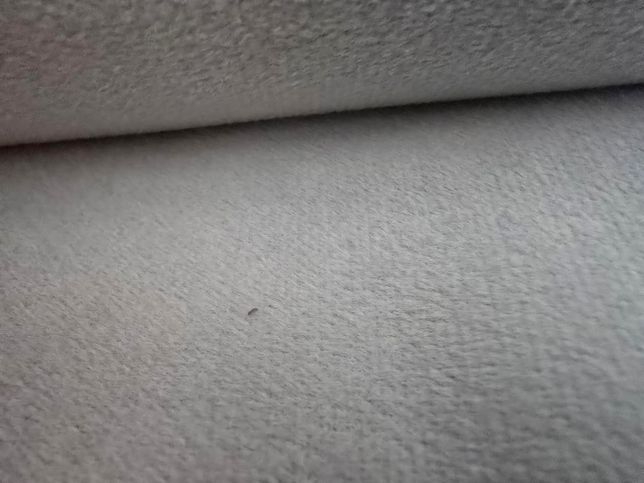 패브릭 조야 소파에서 작은 벌레가 발견되었어요.의 1번 째 이미지