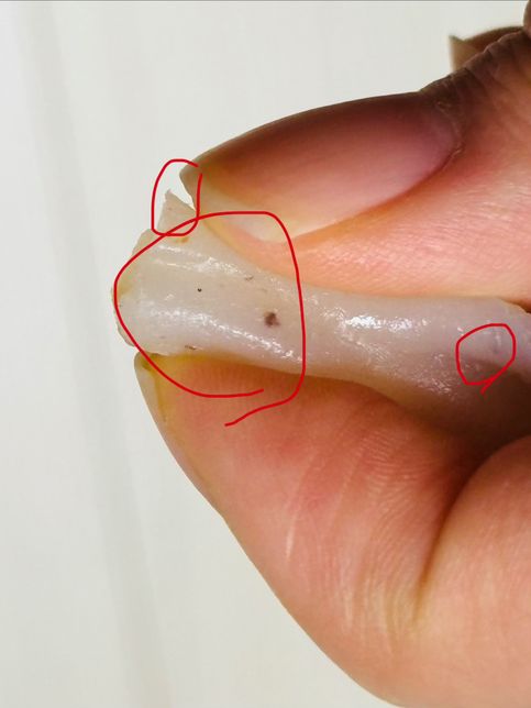 설곤약 중국간식에 들어잇는 이물질..🤮🤮의 0번 째 이미지