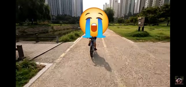 자전거도로 강아지와 비접촉사고 과실있을까요?의 3번 째 이미지