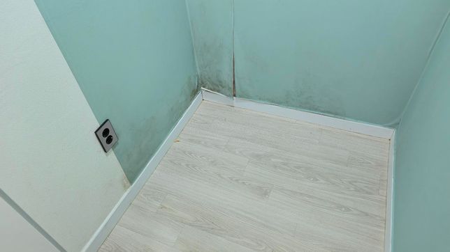 가계약 상태인데 전 입주자 이사후 곰팡이 발견의 2번 째 이미지