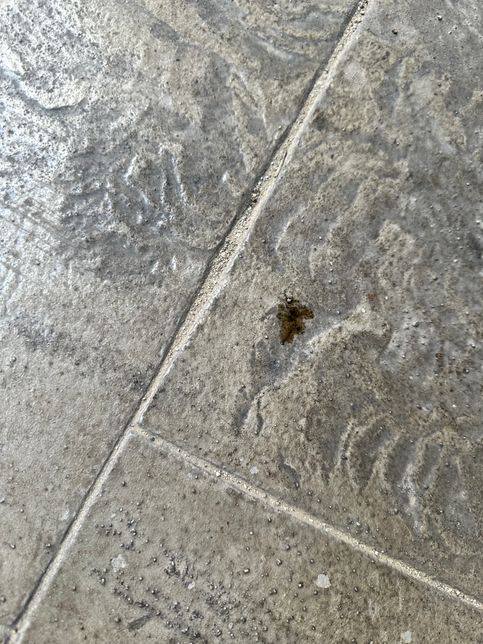 엔진오일 교환후 누유 의심?!?!!의 1번 째 이미지