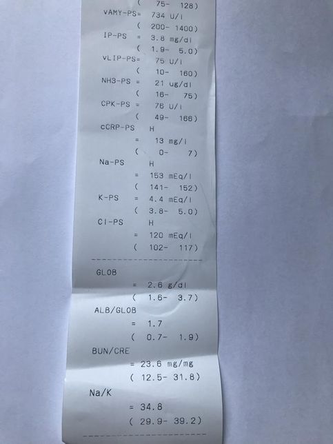 강아지 혈뇨의 원인을 찾고 있습니다 저희 강아지 두번도 아니고 딱 한번만 살려주세요..의 2번 째 이미지