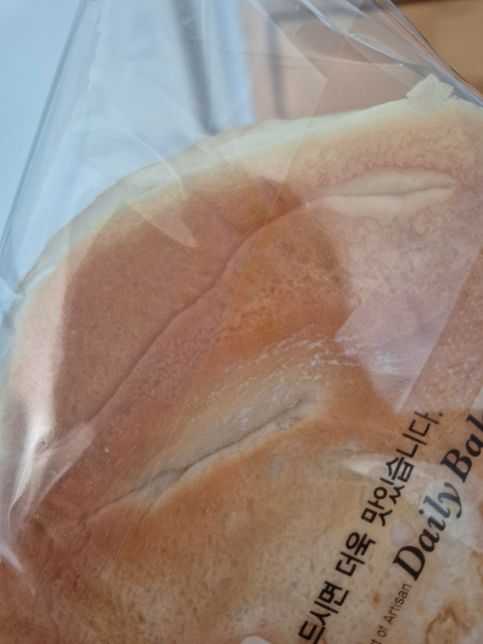 어제 오후에 상 슈크림빵이에요 봐주세요의 0번 째 이미지