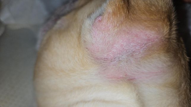 왜그런가요 알려주세요 1주일 되서요의 0번 째 이미지