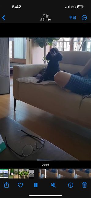 저희집 개가 자꾸 이렇게 혀를 낼름거려요의 0번 째 이미지