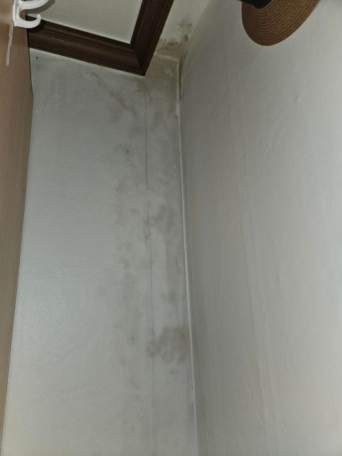 제가 알기로는 배관이 지나다니지 않는 구간인데도 천장에서 물이 샙니다의 1번 째 이미지