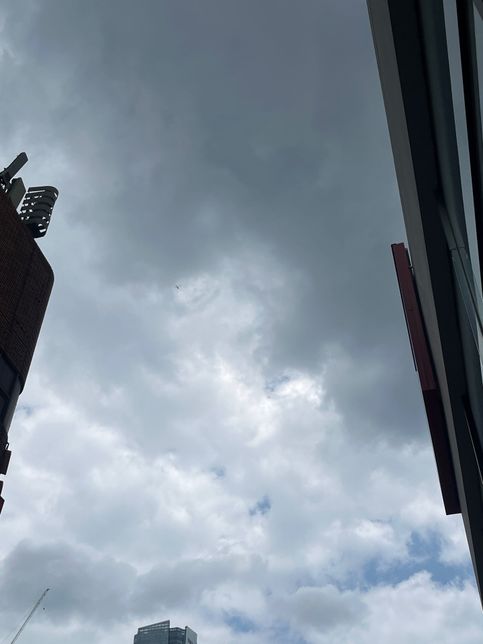 오늘 안오던 비가 많이와서 걱정입니다의 0번 째 이미지