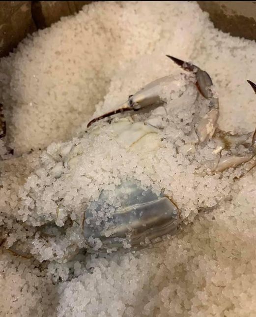 옛날에 화학방부제가 없었던 시대에 음식이나 물건을 보존했을 때는 왜 소금을 사용했나요?의 0번 째 이미지