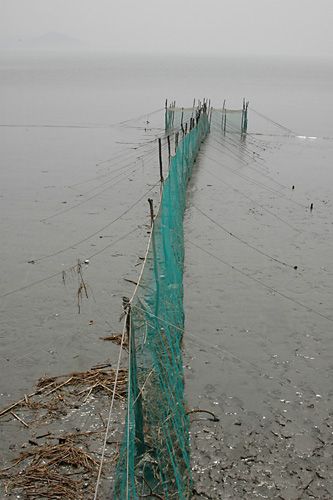바다에 설치된 이런류의 그물 합법인가요? 궁금합니다의 0번 째 이미지