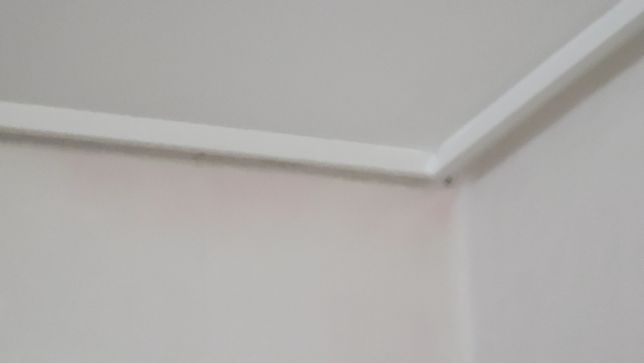 벽지 핑크 곰팡이가 났는데 어떻게 하나요?의 0번 째 이미지