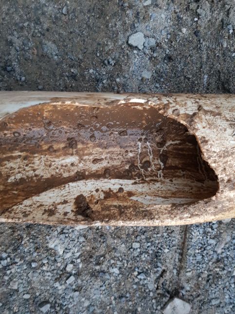 월세 수리관련 문의드립니다!!!!!의 0번 째 이미지