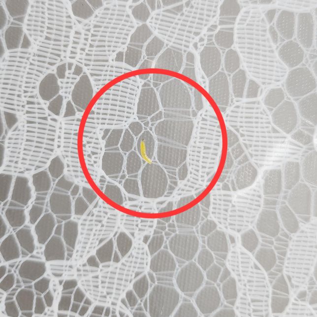 화단에 키운 실파 노란 애벌레 정체가 뭘까요??의 0번 째 이미지