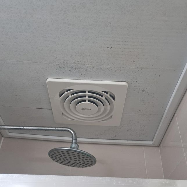 천장 누수로 인한 화장실 곰팡이 문제와 원룸 바닥재 문제의 0번 째 이미지