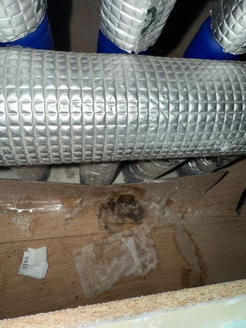 이거곰팡이인가요? 이사를왔는데 싱크대밑 하부장 안쪽을 볼일이없었는데의 3번 째 이미지