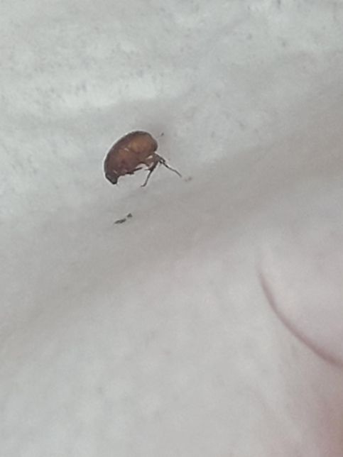 바퀴 새끼인가요?????????의 2번 째 이미지